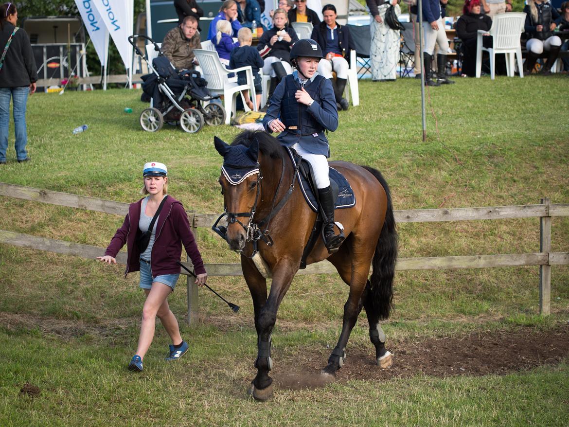 Tysk Varmblod | Giaccomo 43 - I can't live a lie running for my life - I will always want you <3 Foto: Runde Jensen billede 5