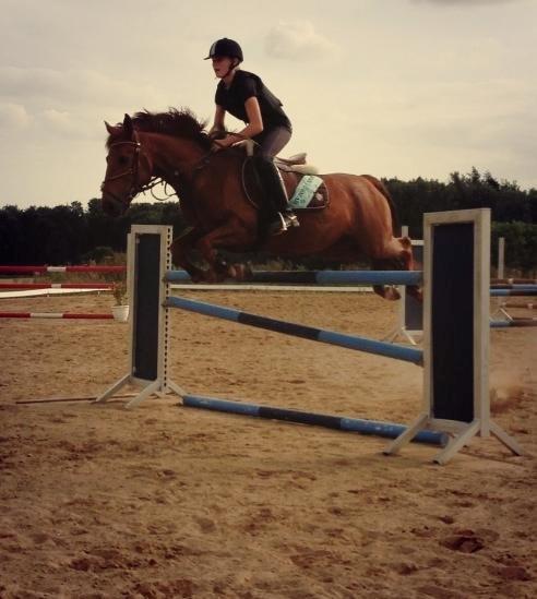 Anden særlig race Golden Fox<3 R.I.P - 115 cm elsker den pony.<3 billede 11