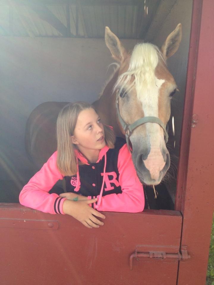 Haflinger Navaro Aflivet - Elsker dig min pony <3 :D billede 4