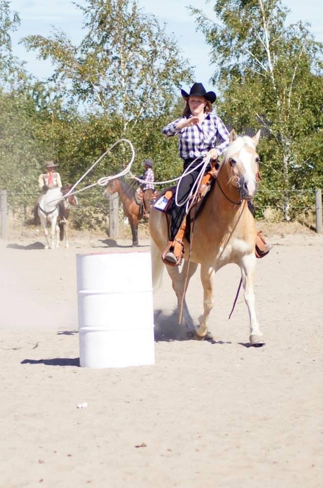 Haflinger Navaro Aflivet - Kaster med lasso for føste gang :D billede 3