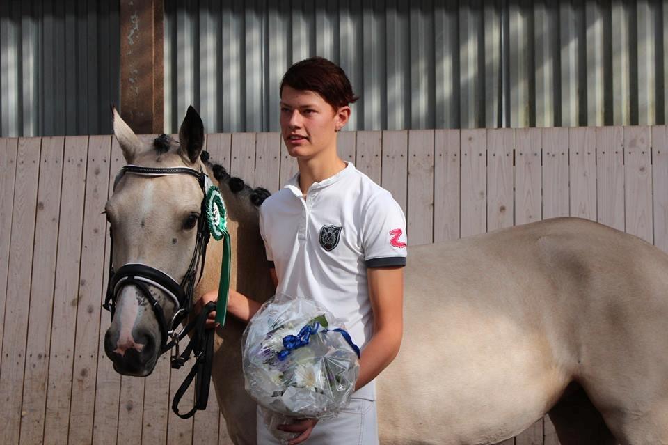 DSP Miss Midina Højgård - Kårring, bedt kårrede hoppe :) Foto: Kira Rudolph 18/8-13  billede 5