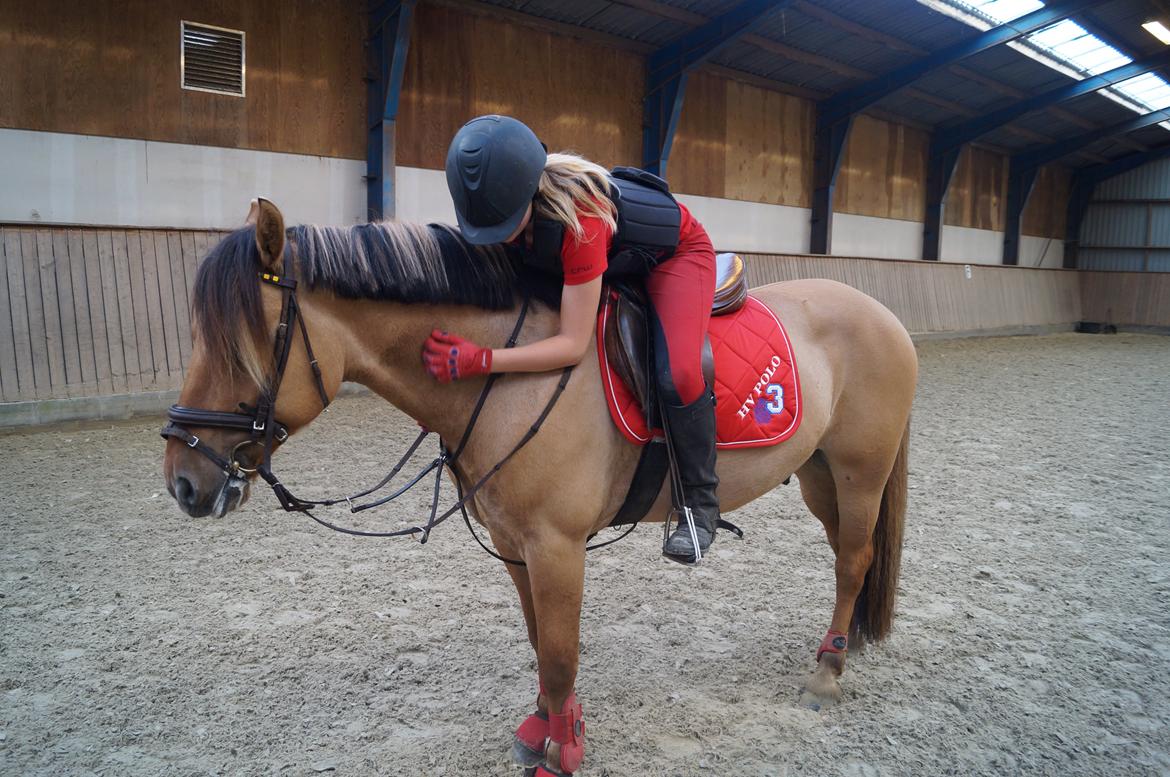 Anden særlig race Dumbledore  - Trætte Dumle efter en vellykket dressur træning :D billede 4