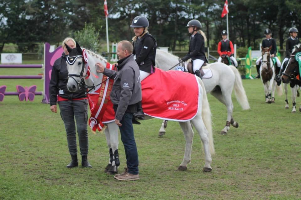 Anden særlig race MR. B - A Pony - DANMARKSCUP 2013 I MB2** 
Fik en stilkarakter 9.50 <3 billede 1