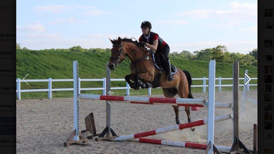 Anden særlig race Esmaralda billede 13