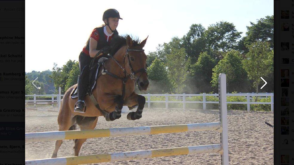 Anden særlig race Esmaralda billede 7