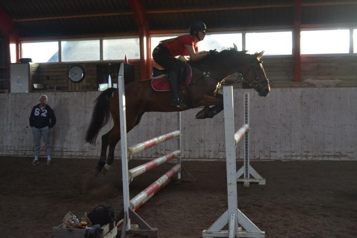 Anden særlig race Esmaralda billede 15