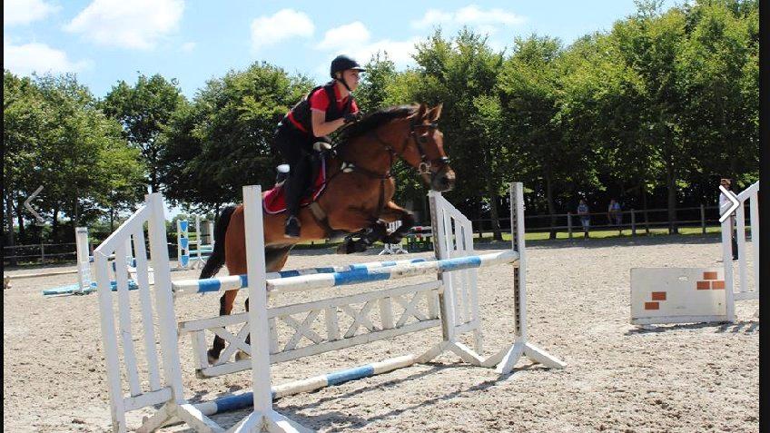 Anden særlig race Esmaralda - Trænings lejr ved Thomas Sandgaard 2013 billede 17