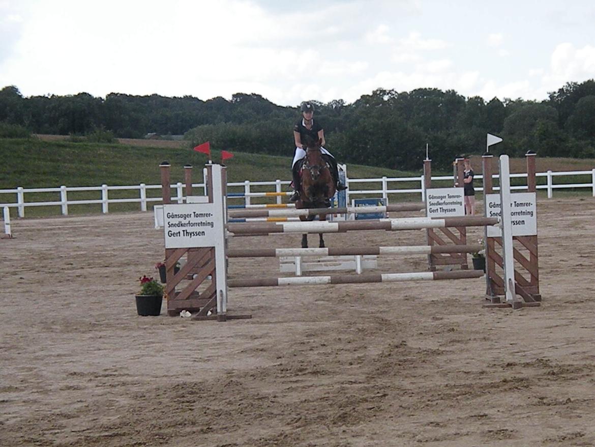 Anden særlig race Esmaralda - MB* 2. plads, kun vores anden MB STJERNE billede 14