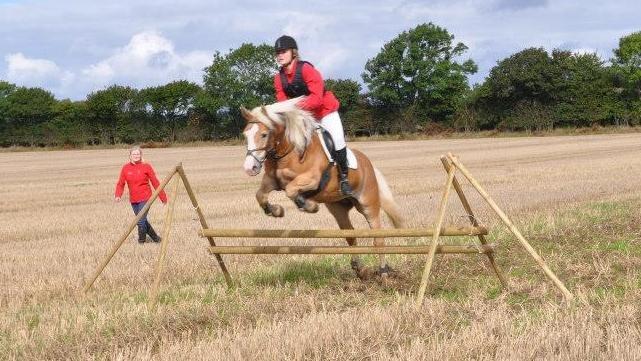 Haflinger Freja - 70 cm jagt. 15 september 2013 billede 2