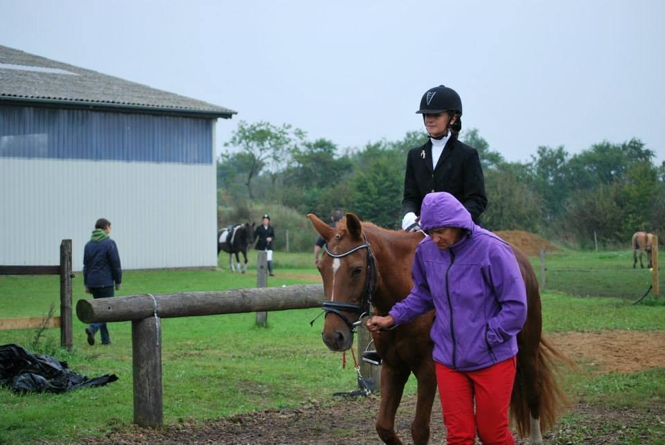 Anden særlig race Cody. billede 13