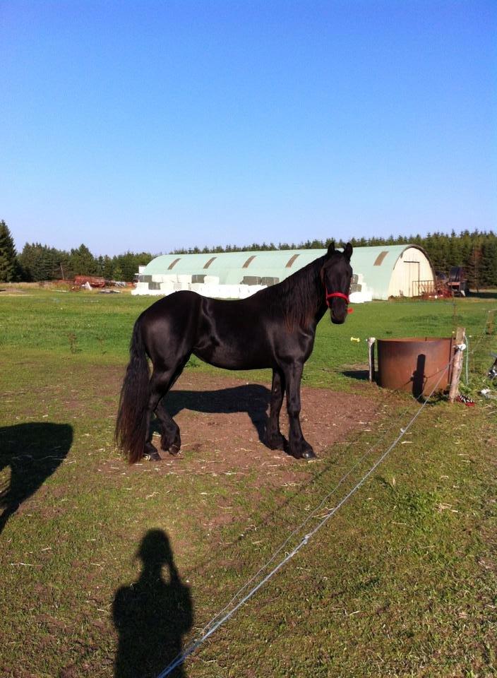 Frieser Claudia billede 8