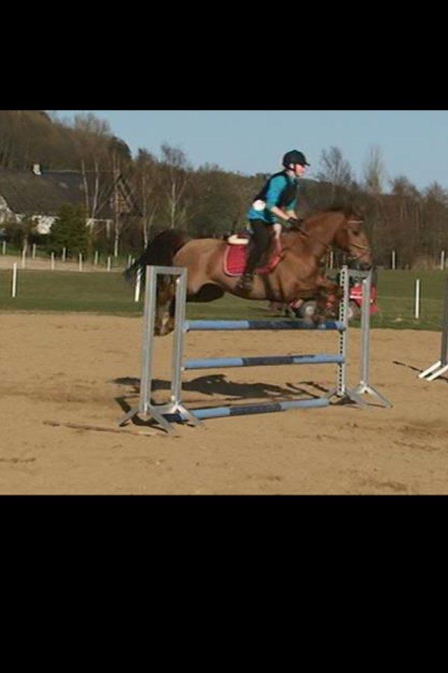 Anden særlig race Golden Fox<3 R.I.P - 105 cm.<3 billede 17