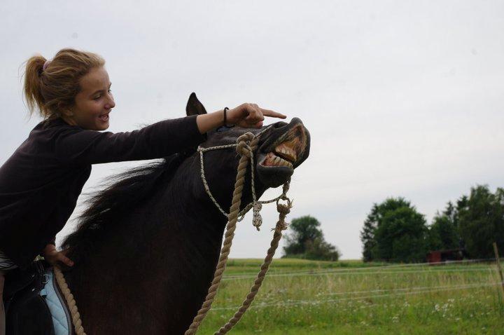 Anden særlig race | Blacky billede 2