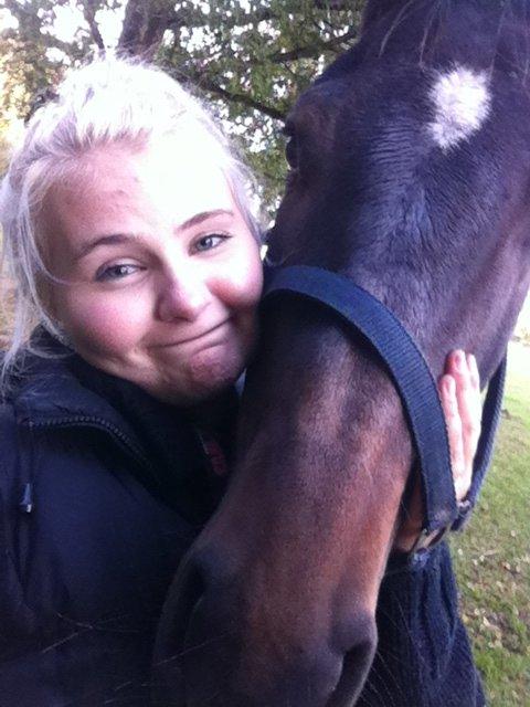 Dansk Varmblod Baunehøjens Samour billede 4