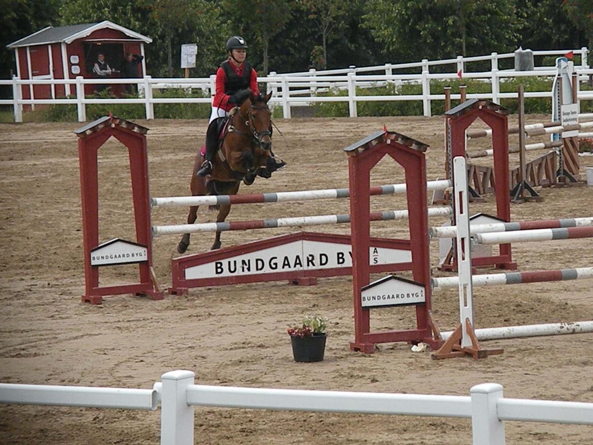 Anden særlig race Esmaralda - Første MB** billede 9