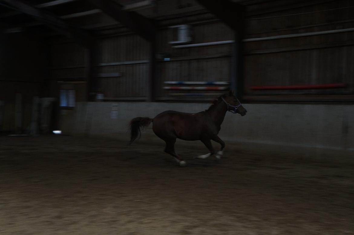 DSP | Night-Girl [ Red ] Solgt. billede 19