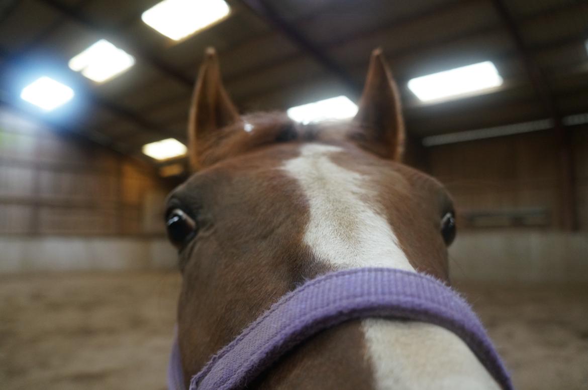 DSP | Night-Girl [ Red ] Solgt. billede 20