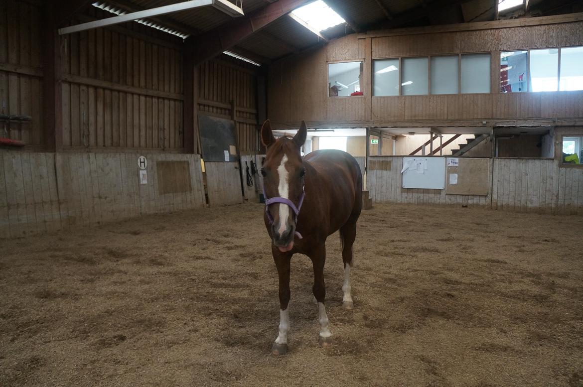 DSP | Night-Girl [ Red ] Solgt. billede 21