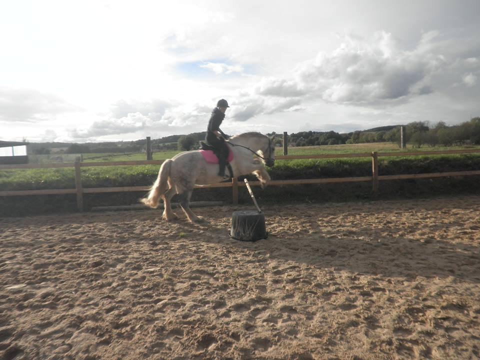 Irish Cob Tøsen - 19 September 2013.
Spring ca. 60 så hun er ved at lære det:-) billede 16