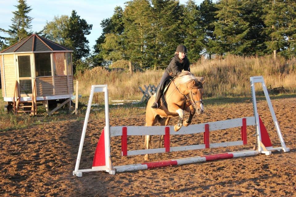 Anden særlig race Charming *Tidl. Part* - Spring d.17/9 2013 billede 17