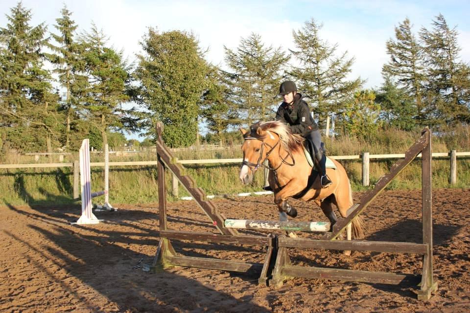 Anden særlig race Charming *Tidl. Part* - Spring d. 17/9 2013 billede 18