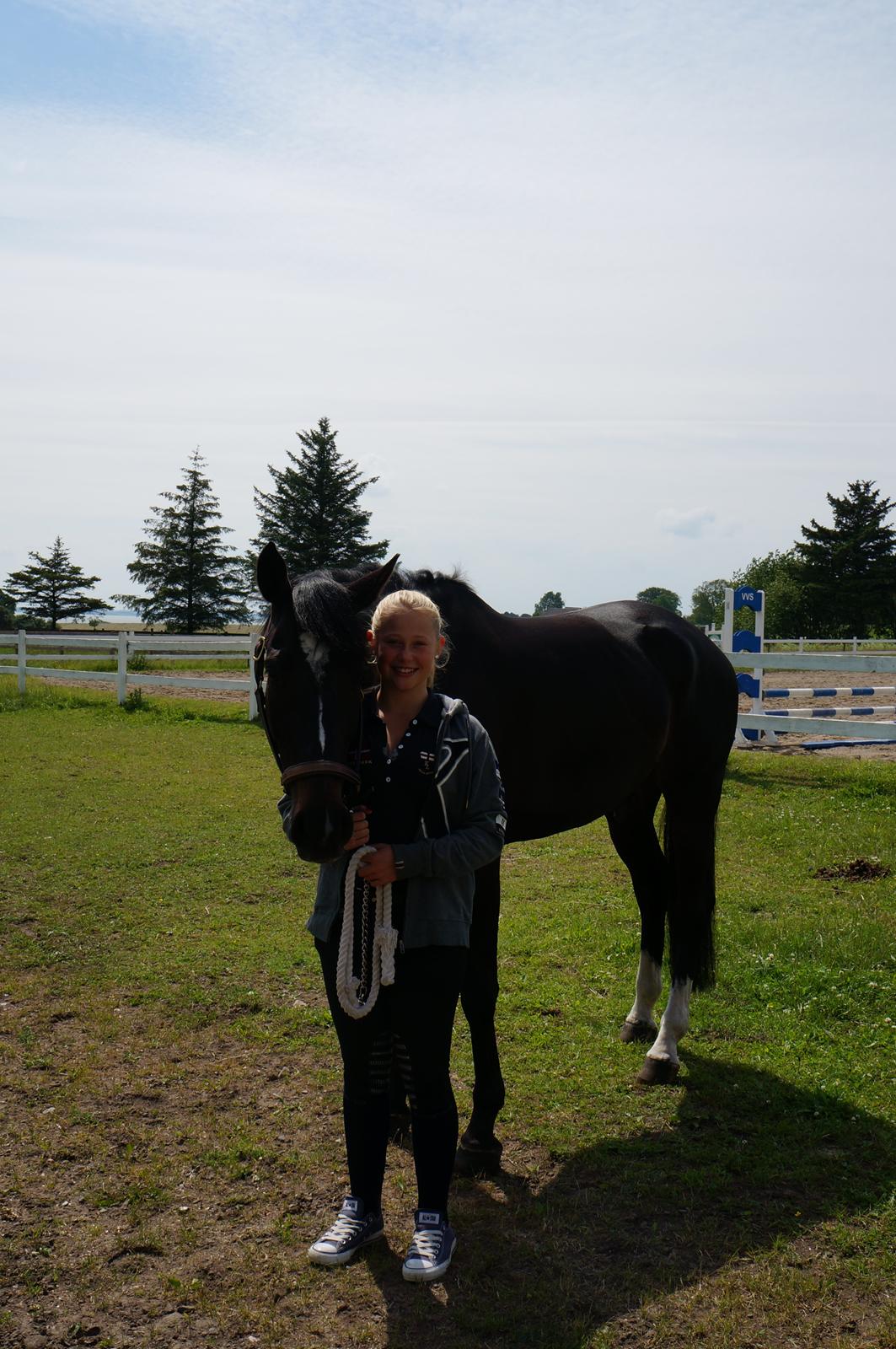 Württemberger Nashville R.I.P 24.10.2013 billede 18