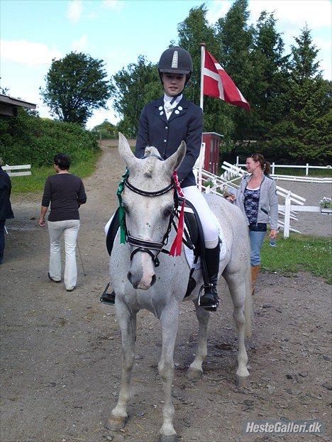 DSP Svalebjergården s stella - GBR vinder af La-åben. Vandt med La-1 og nummer 4 med første La-2 <3 ELSKER den pony. 2010 billede 8