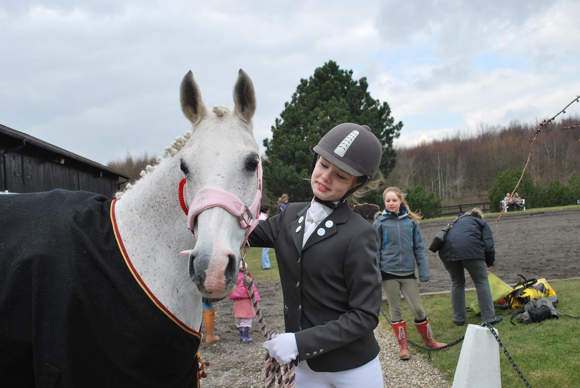 DSP Svalebjergården s stella - Vinder af Lb2 på NSR, elsker min hvide stjerne! 31.03.2010 billede 10