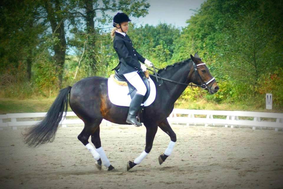 New Forest Stenhøjgaards Amanda <3 - Mig og Amanda til stævne! billede 2