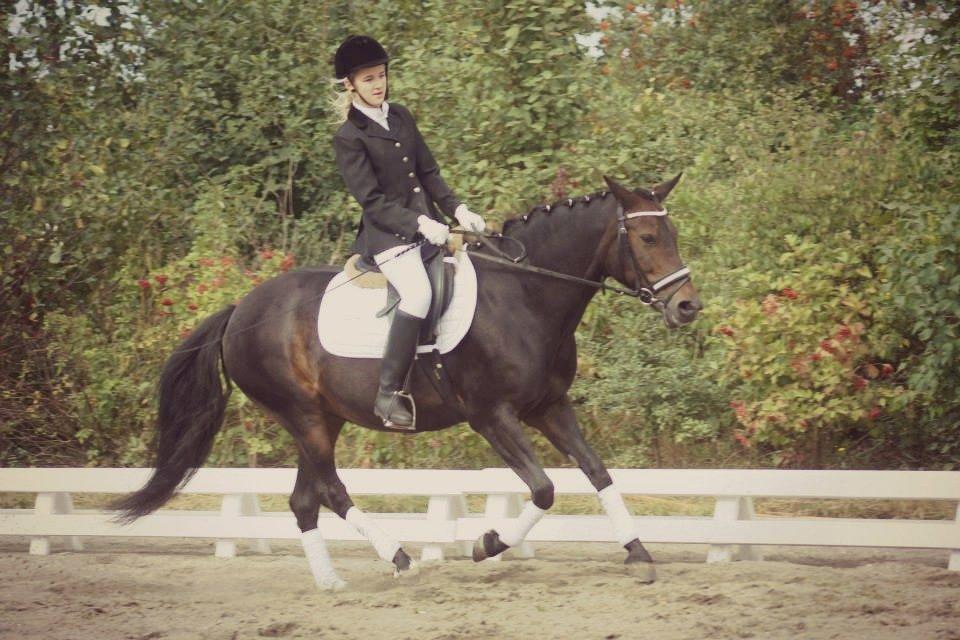 New Forest Stenhøjgaards Amanda <3 - Hun var bare så god!  billede 8