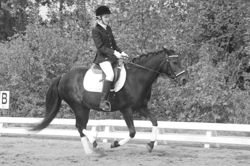 New Forest Stenhøjgaards Amanda <3 - Lige et billede ;) billede 12