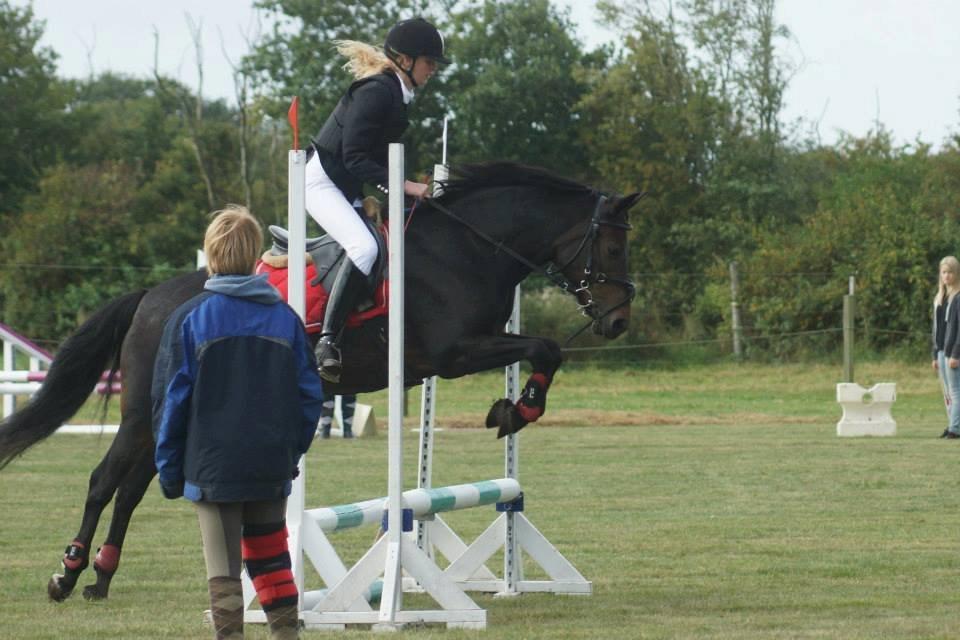 New Forest Stenhøjgaards Amanda <3 - Det er godt nok min lillesøster der rider hende på det her billede, men syntes lige det skulle ind! De var så gode. :) billede 10