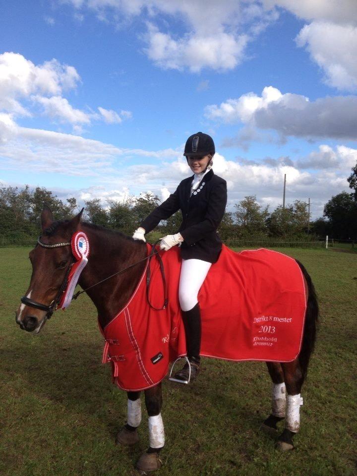 Anden særlig race Lucky - Distrik 8 meter 2013 Klubhold Dressur! <3 :D billede 13