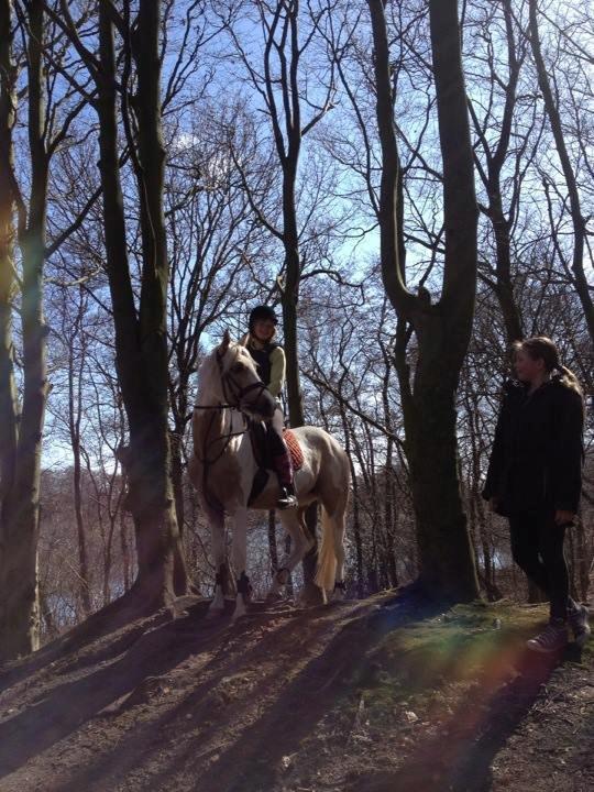 Anden særlig race Sweet Heart (Tweedy) - Allerførste gang hun er i skoven nogensinde <3 billede 11