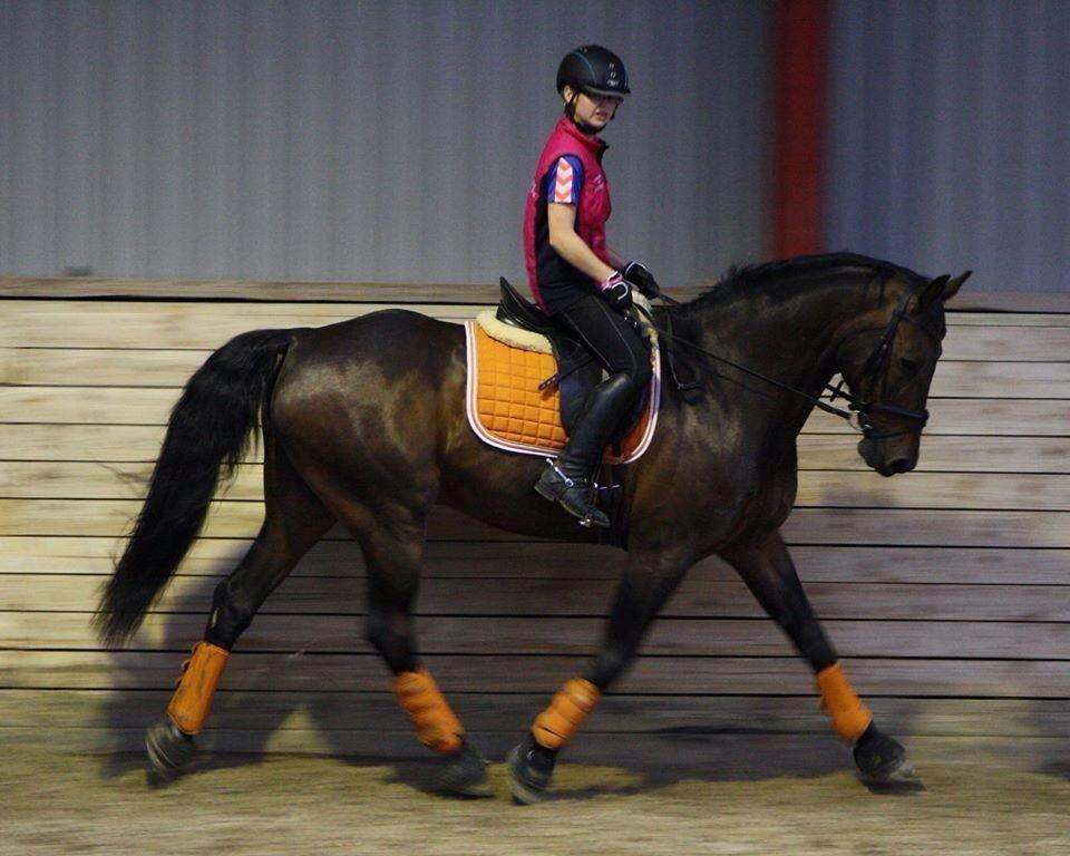 Anden særlig race Sputnik (Sprutte) - Sprutte og mig efter jeg havde haft ham i 4 uger <3 billede 1