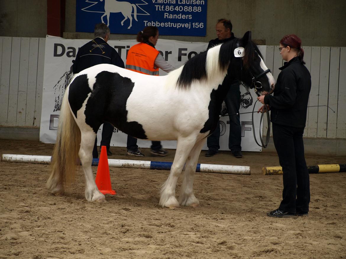 Tinker Egely's Nala billede 10