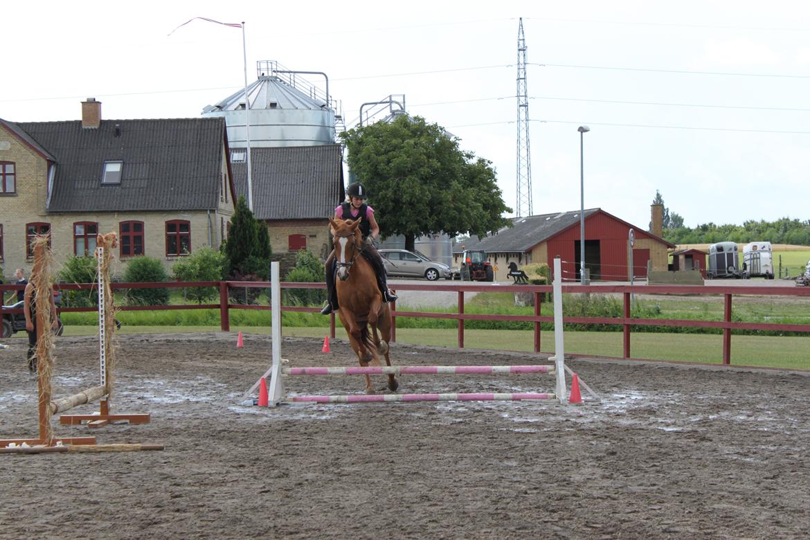 Frederiksborg Mie Bøgelund billede 2