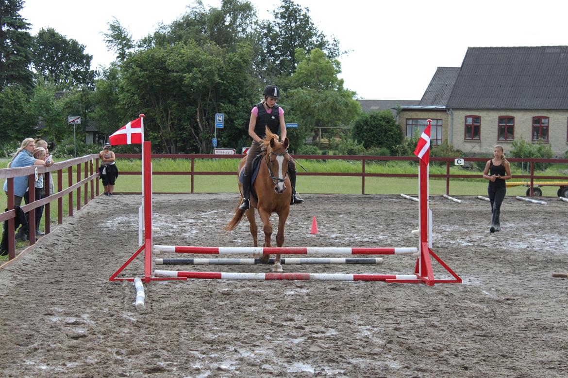 Frederiksborg Mie Bøgelund billede 1