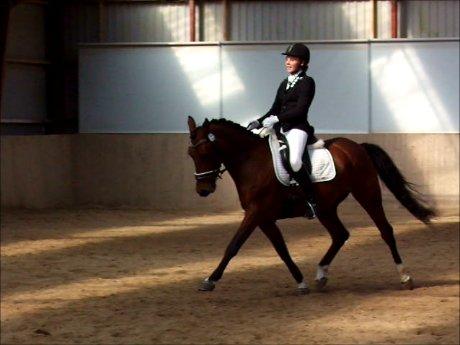 Anden særlig race Alonso billede 23