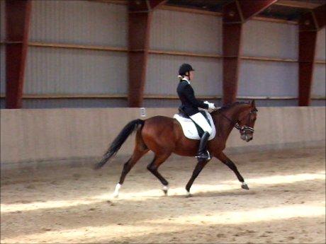 Anden særlig race Alonso billede 24