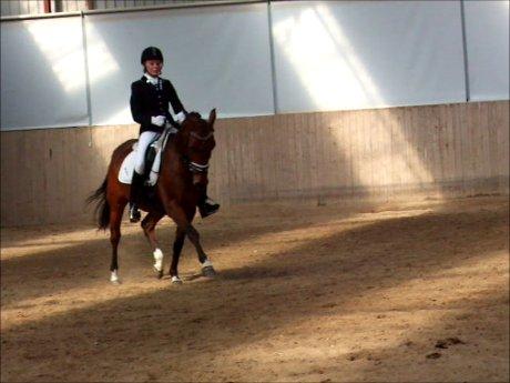 Anden særlig race Alonso - Stævne i Åstrup :) billede 2