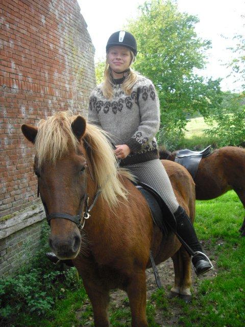 Islænder Frigg fra Thorsgaard billede 10