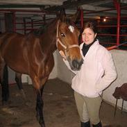 Dansk Varmblod Falkenhus's Moral