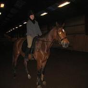 Dansk Varmblod Falkenhus's Moral