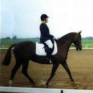 Anden særlig race Emma