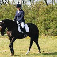 Anden særlig race Emma