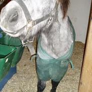 Shetlænder Simon Makii solgt