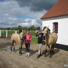 Anden særlig race Shanon´<3 Solgt... 