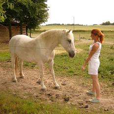 Pinto | La spottas tami R.I.P