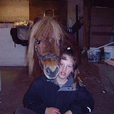 Anden særlig race *Lille-mand*